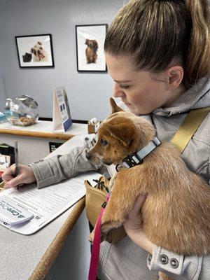 Animal Hospital of Cloverdale