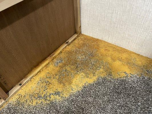 More mold, feet from where you sleep.