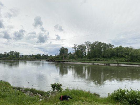 The Snohomish River