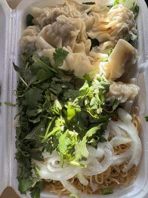 Wonton noodle soup