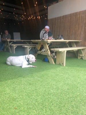 My two dogs, husband and some great beer