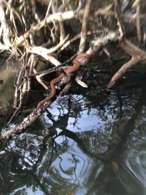 South Lido County Park