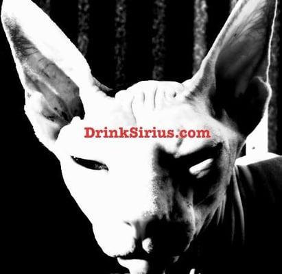 DrinkSirius.com