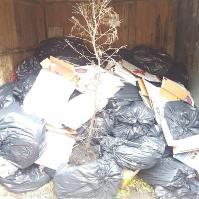 Restaurant Dumpster and Shed Clean out. The worst smell known to man all in one pic.