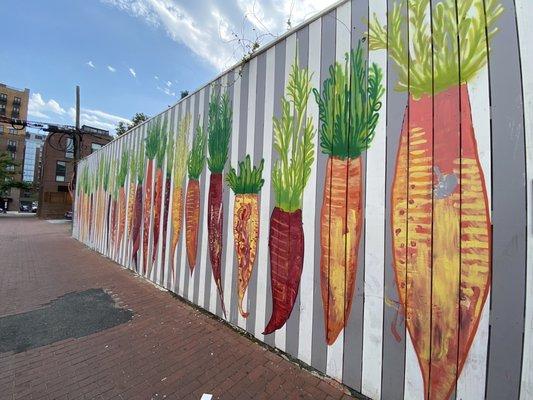 Carrot / beets mural