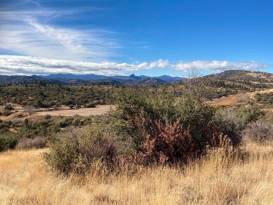 View towards the south from circle trail