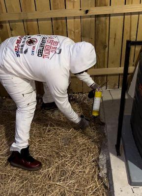 Picture of one of our professional licensed exterminators filling in rat holes.