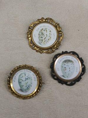 Drawing, antique pins "Egg Under Glass" by JoAnna Poehlmann.