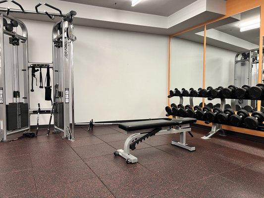 Gym Space & Equipment