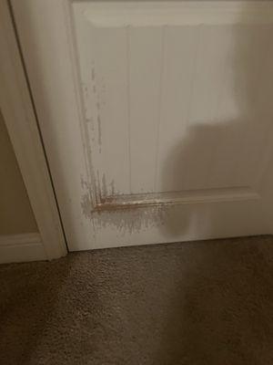 Heavily damaged door from previous tenant was scratched by a dog