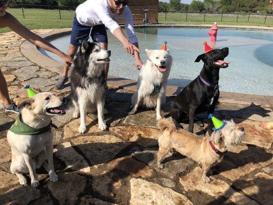 Doggy pool