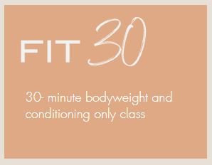 FIT30 Class