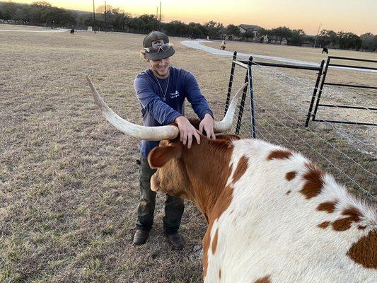 Beautiful interruption on one of our irrigation jobs at Bevo Ranch.  Only in Texas!