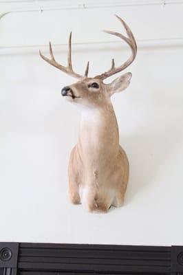 Deer Trophy.