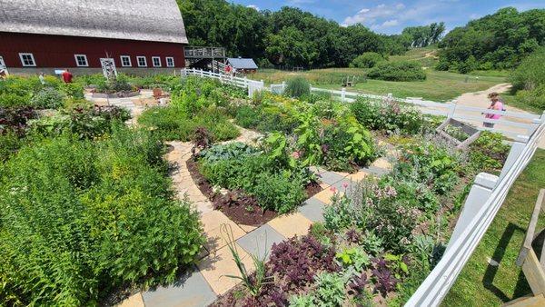 Outdoor garden