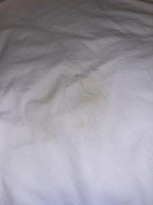 Dried Blood on the sheets