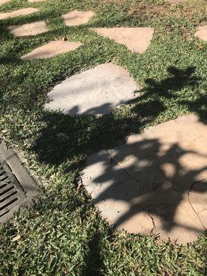 Concrete wash dumped down my lawn drain and the stepping stones shattered