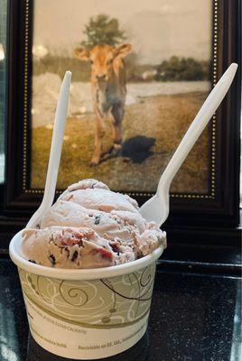 Cherry with chocolate chips