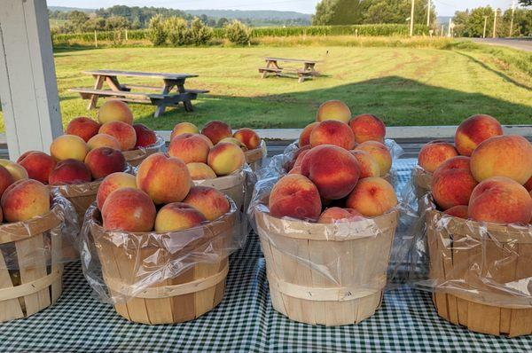 Peaches on the farm cart