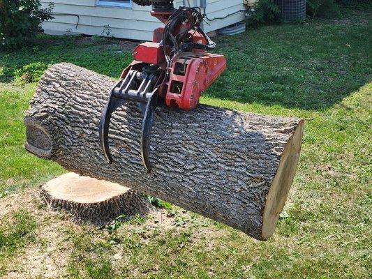 Custom Tree Service