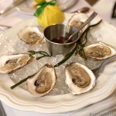 East coast oysters