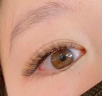 Hybrid lashes