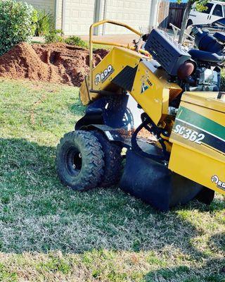 Stump Removal