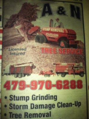 Any Size Tree or Stump we can handle them all fast affordable service. call for free estimates