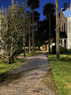 Beautiful spooky street.