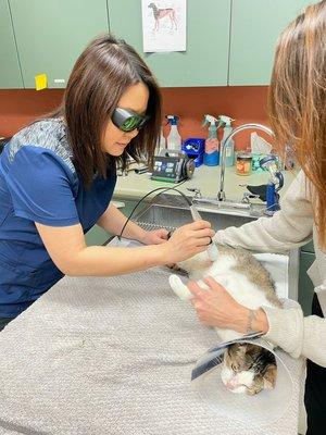 Laser therapy