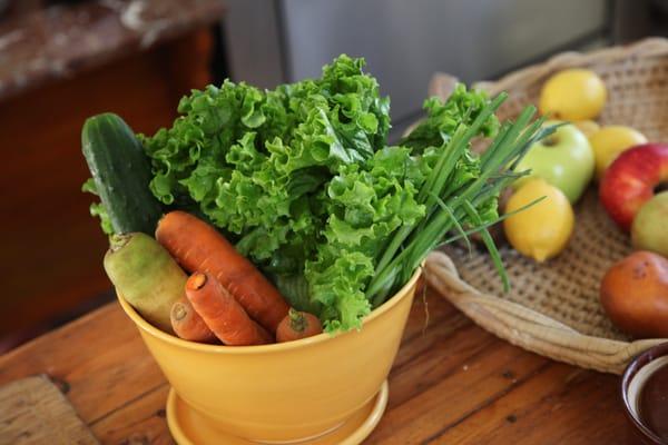 Fresh Organic Fruit and Vegetables.