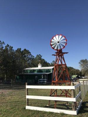 Southern Grooming and Boarding