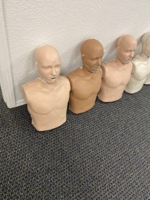 Cpr mannequins