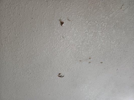 Holes in the ceiling.