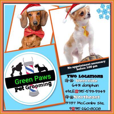 Green paws pet grooming