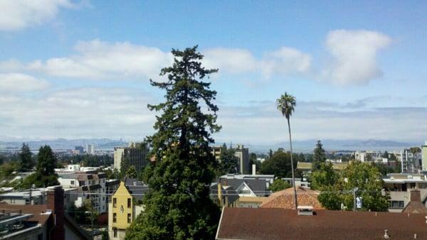 View From Wilde Roof Deck