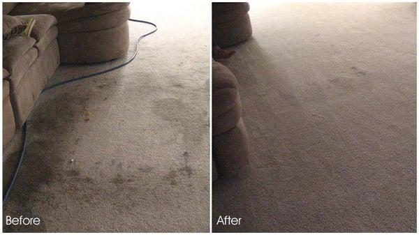 San Diego carpet cleaning, carpet cleaning San Diego, carpet cleaning company San Diego, carpet cleaning service San Diego, c...