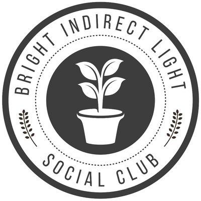 Bright Indirect Light Social Club