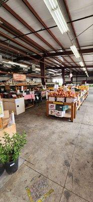 Fresh fruit and vegetables