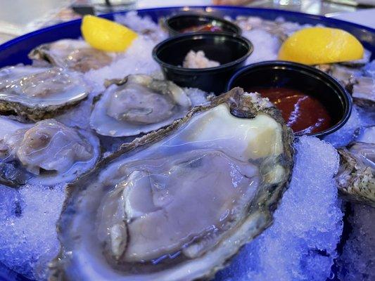 Oysters!!