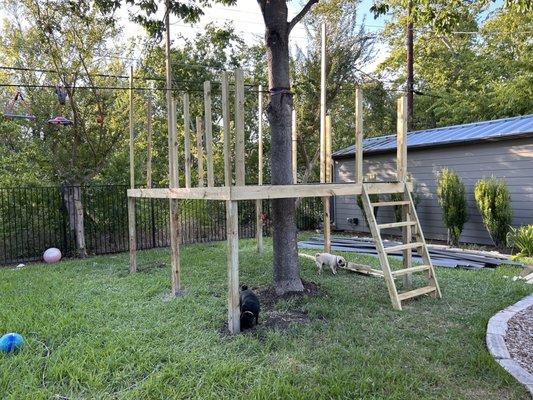 Tree fort build