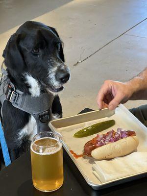 Shop Dog Brewing