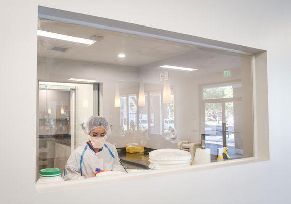 Technician Working in the lab