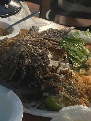 Mojarra sin sabor