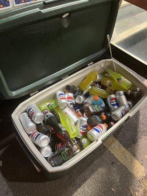 Beverage Cooler