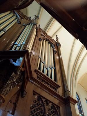 Lovely organ