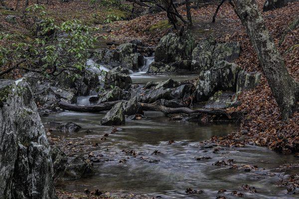 Quantico Creek