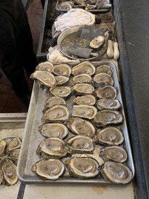 Fresh oysters super good