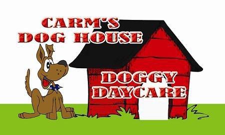 Carm's Dog House in Cicero, NY