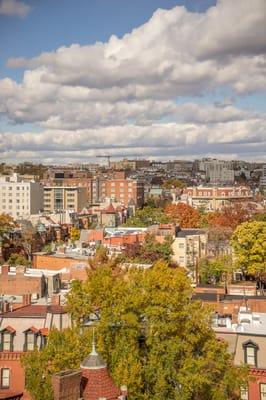 View from the roof deck